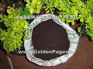 > </div>
<div class=